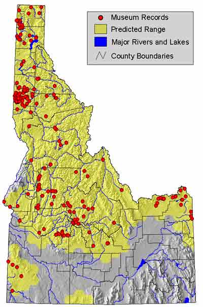 Distribution map