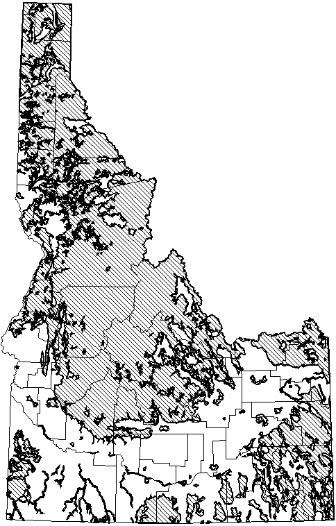 Silver-haired Bat.gif (23764 bytes)