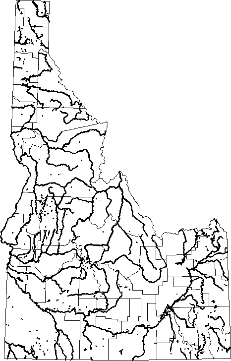 Mink.gif (14716 bytes)