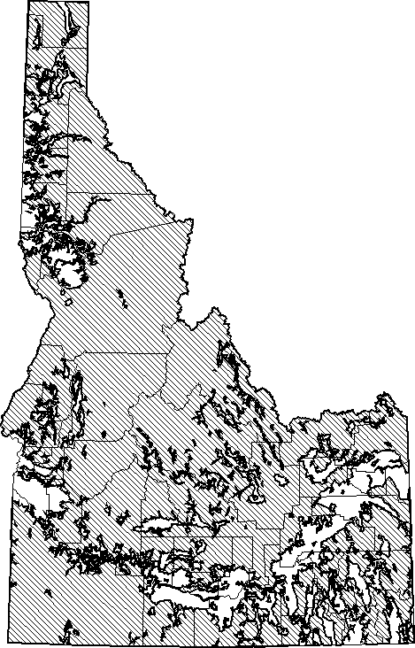 Bushy-tailed Woodrat.gif (23252 bytes)