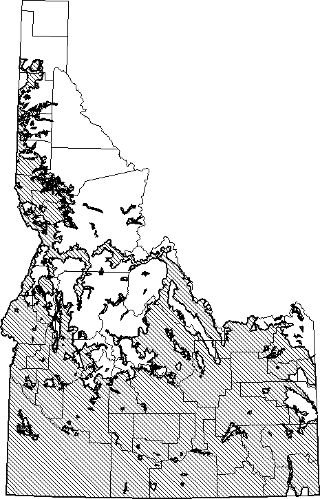 Montane Vole.gif (18867 bytes)