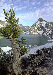 Sawtooth Lake