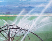 Irrigation Sprinklers